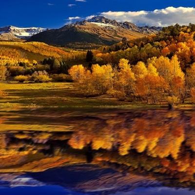 kok在线官网入口