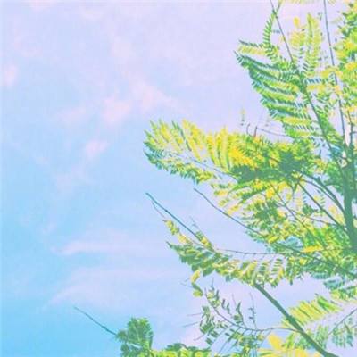 九游J9真人游戏第一品牌截图