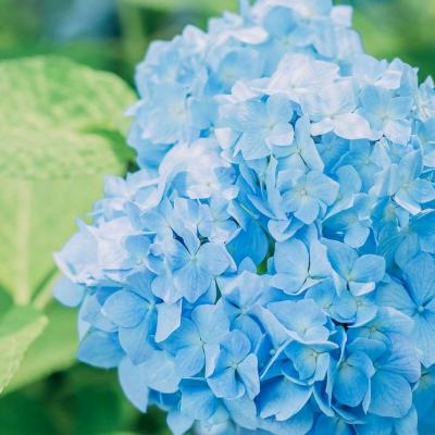 bob·体育综合appapp下载截图