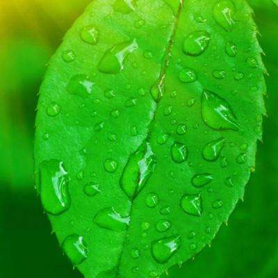 半岛彩票手机app下载